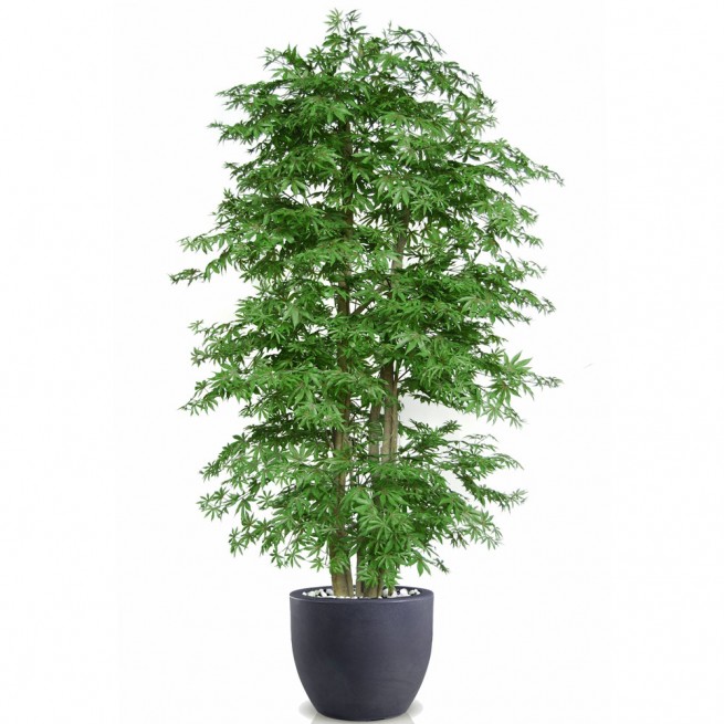 Planta semi-artificiala Ila, Maple Boschetto Green - 220 cm